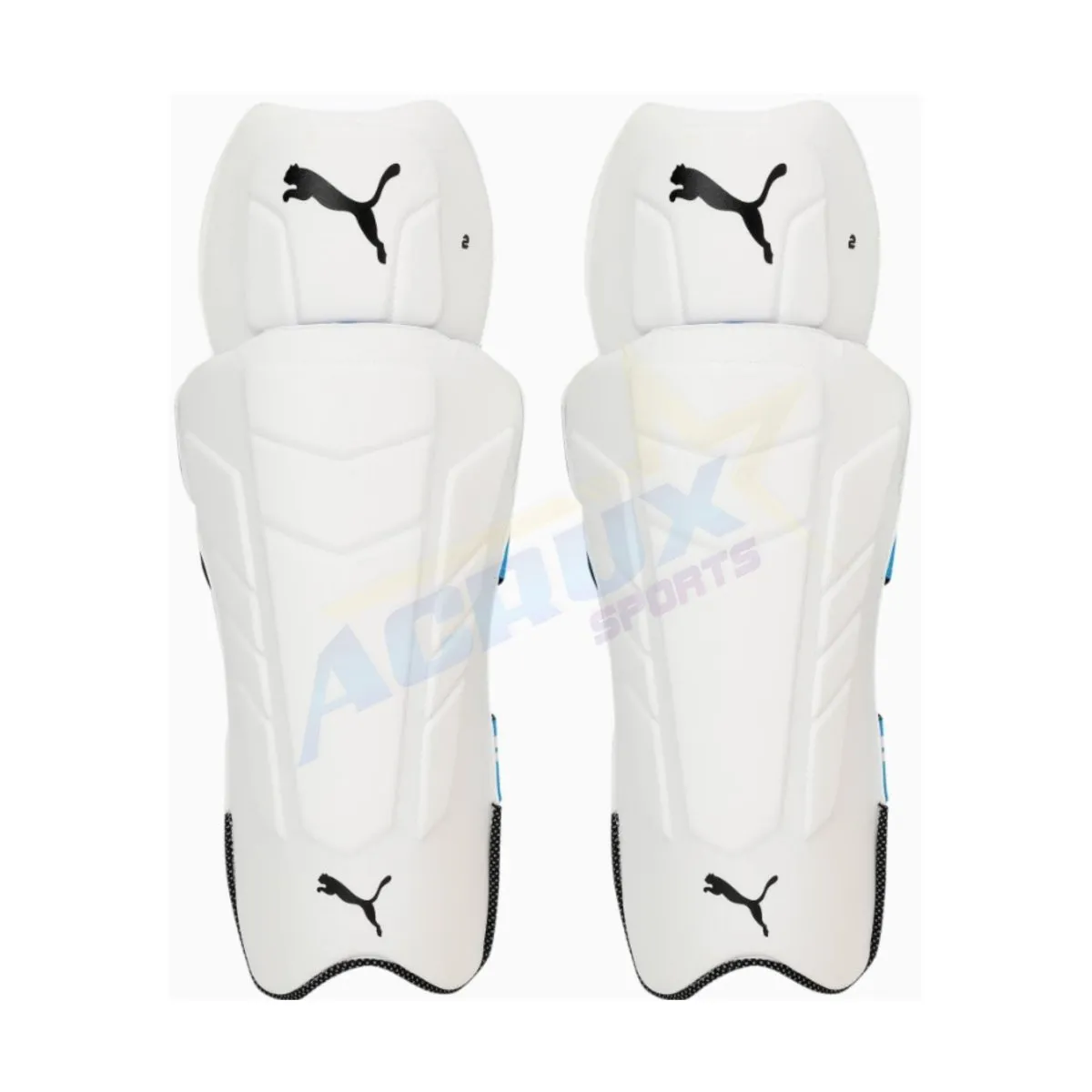 Puma Future 20.2 Mens Cricket Wicket Keeping Pads